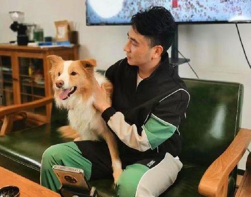 林生斌微信最新爆料视频,事件真相再引热议